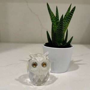 Swarovski Owl Figurine: Retired Piece